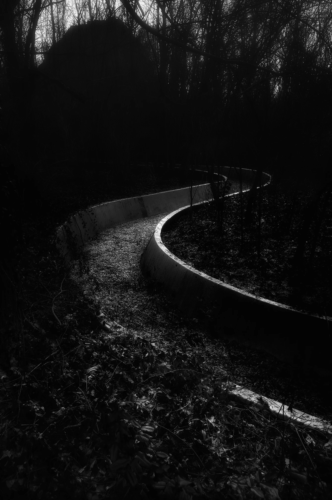 Buet rutsjebanespor i den mørke Plänterwald-skov