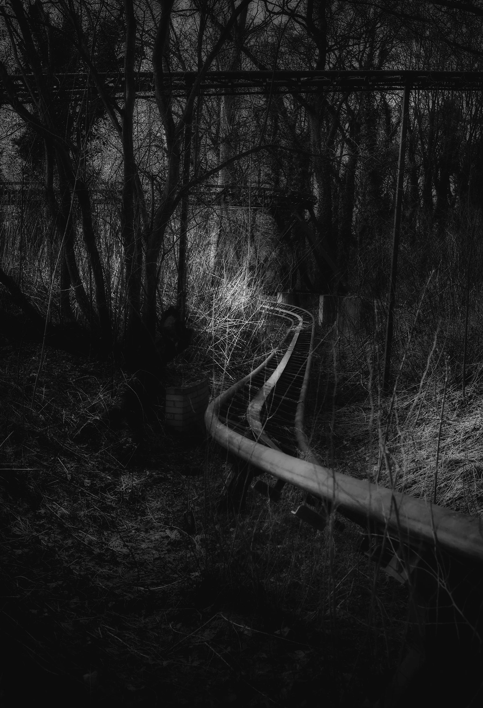 Tilgroet vandrutsjebane, der snor sig gennem skoven i Spreepark